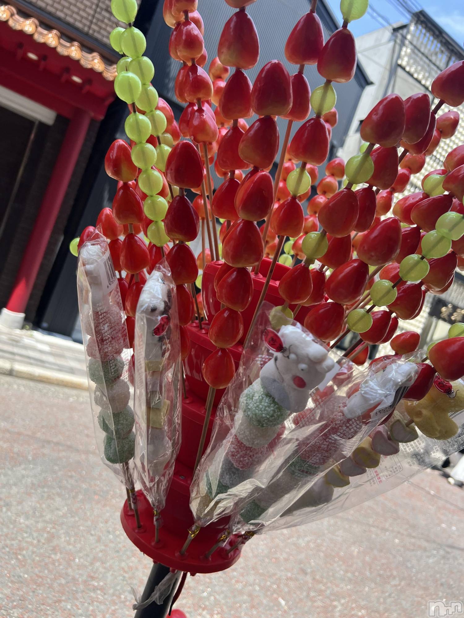 ��ˬ����Х��顦����֥���� �ץ���� ��ˬ(����� �ץ���� ����) ��2024ǯ8��9���̥�֥�����🍬��