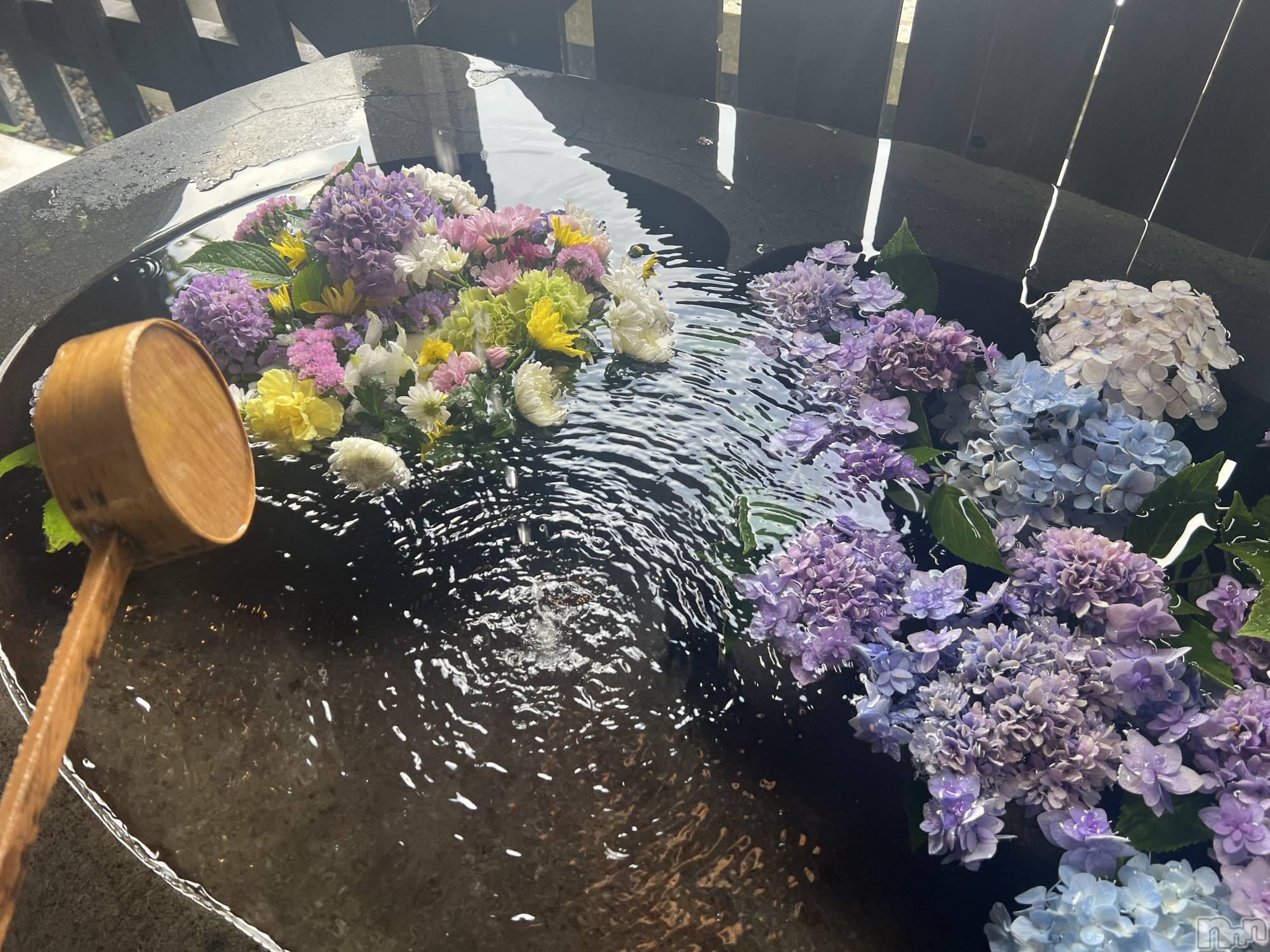 ��ˬ����Х��顦����֥���� �ץ���� ��ˬ(����� �ץ���� ����) ��2024ǯ8��22���̥�֥�����🍬��