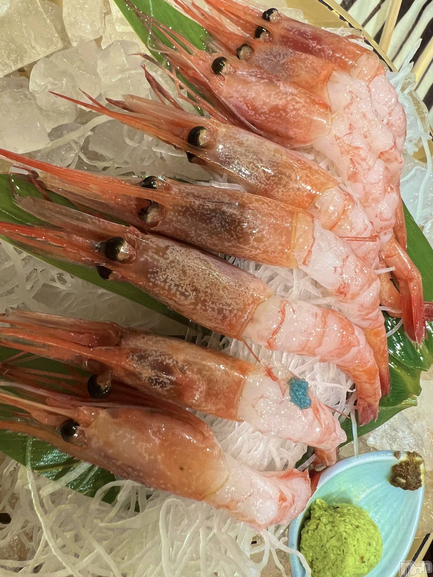 ��ˬ����Х��顦����֥���� �ץ���� ��ˬ(����� �ץ���� ����) ��2024ǯ8��26���̥�֥�����🍬��