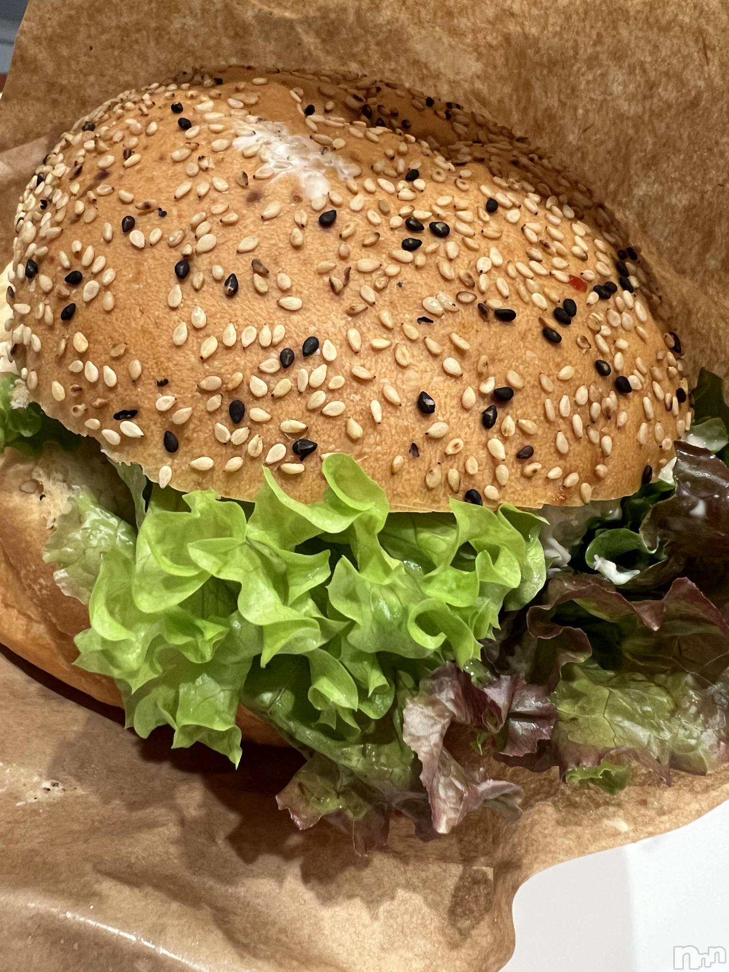 ��ˬ����Х��顦����֥���� �ץ���� ��ˬ(����� �ץ���� ����) ��2024ǯ9��11���̥�֥�����🍬��