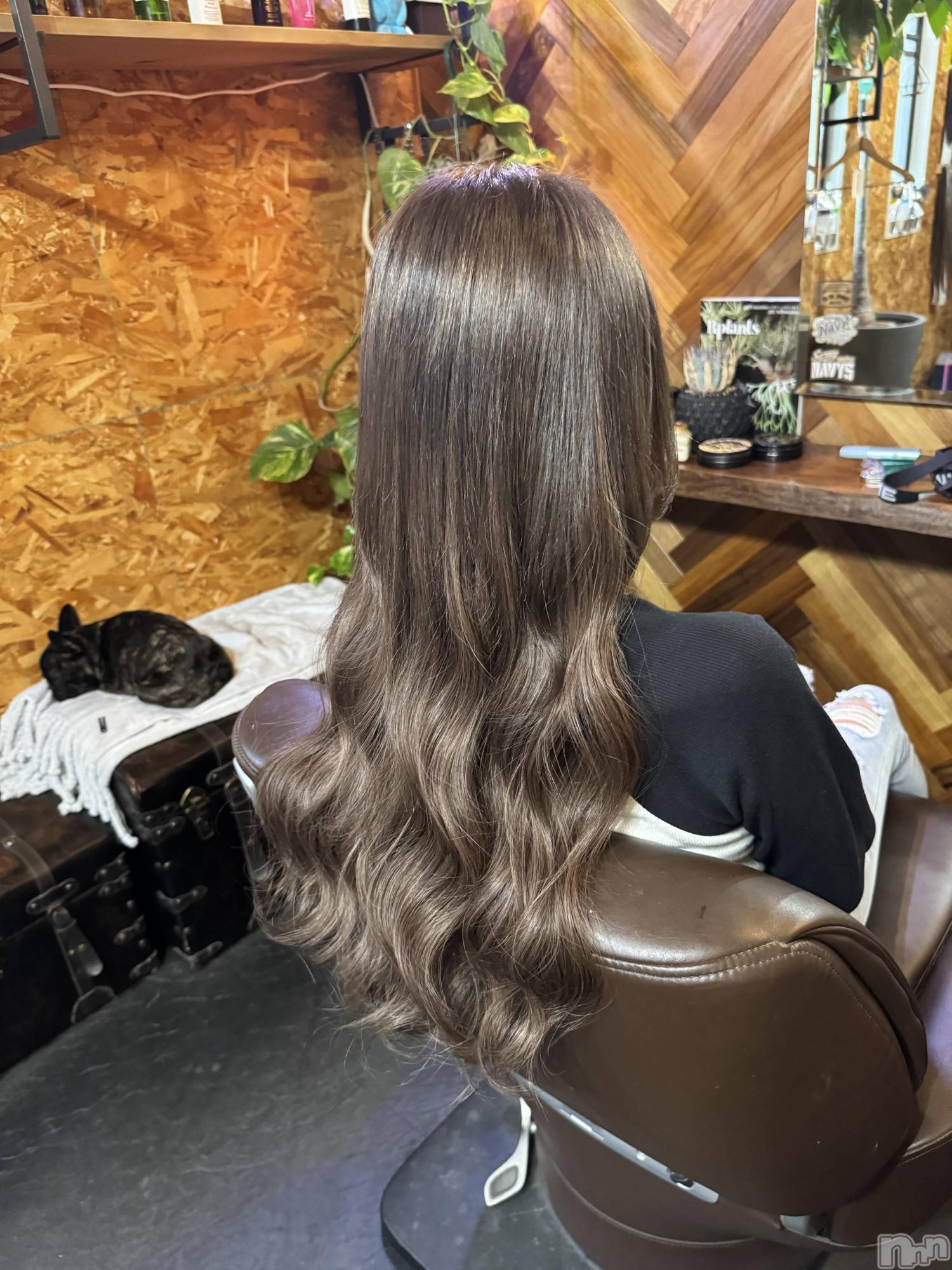 ��ˬ����Х��顦����֥���� �ץ���� ��ˬ(����� �ץ���� ����) ��2024ǯ10��26���̥�֥�����🍬��