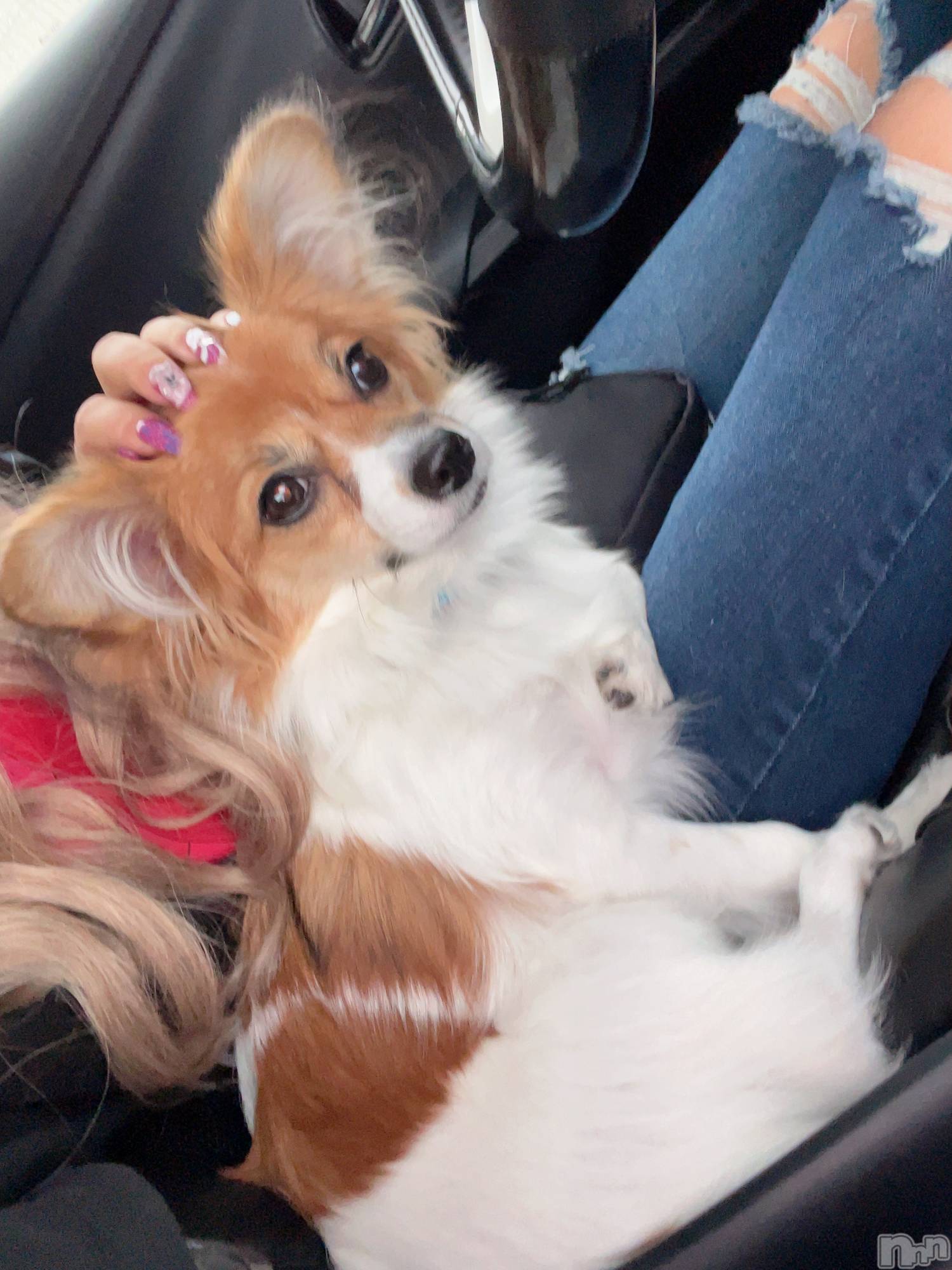 ��ˬ����Х��顦����֥���� �ץ���� ��ˬ(����� �ץ���� ����) ��2024ǯ11��14���̥�֥�����🍬��