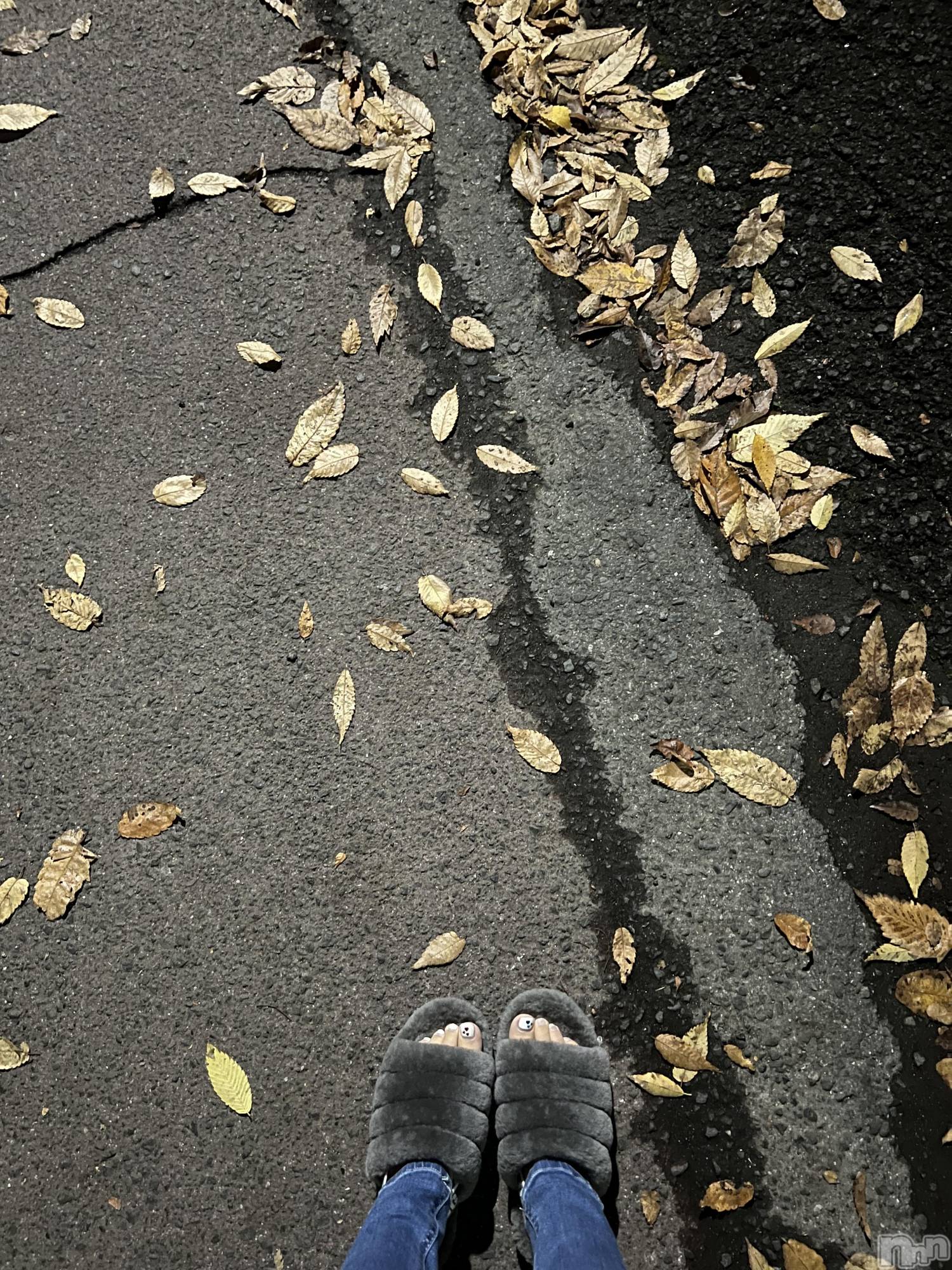 ��ˬ����Х��顦����֥���� �ץ���� ��ˬ(����� �ץ���� ����) ��2024ǯ11��19���̥�֥�����🍬��