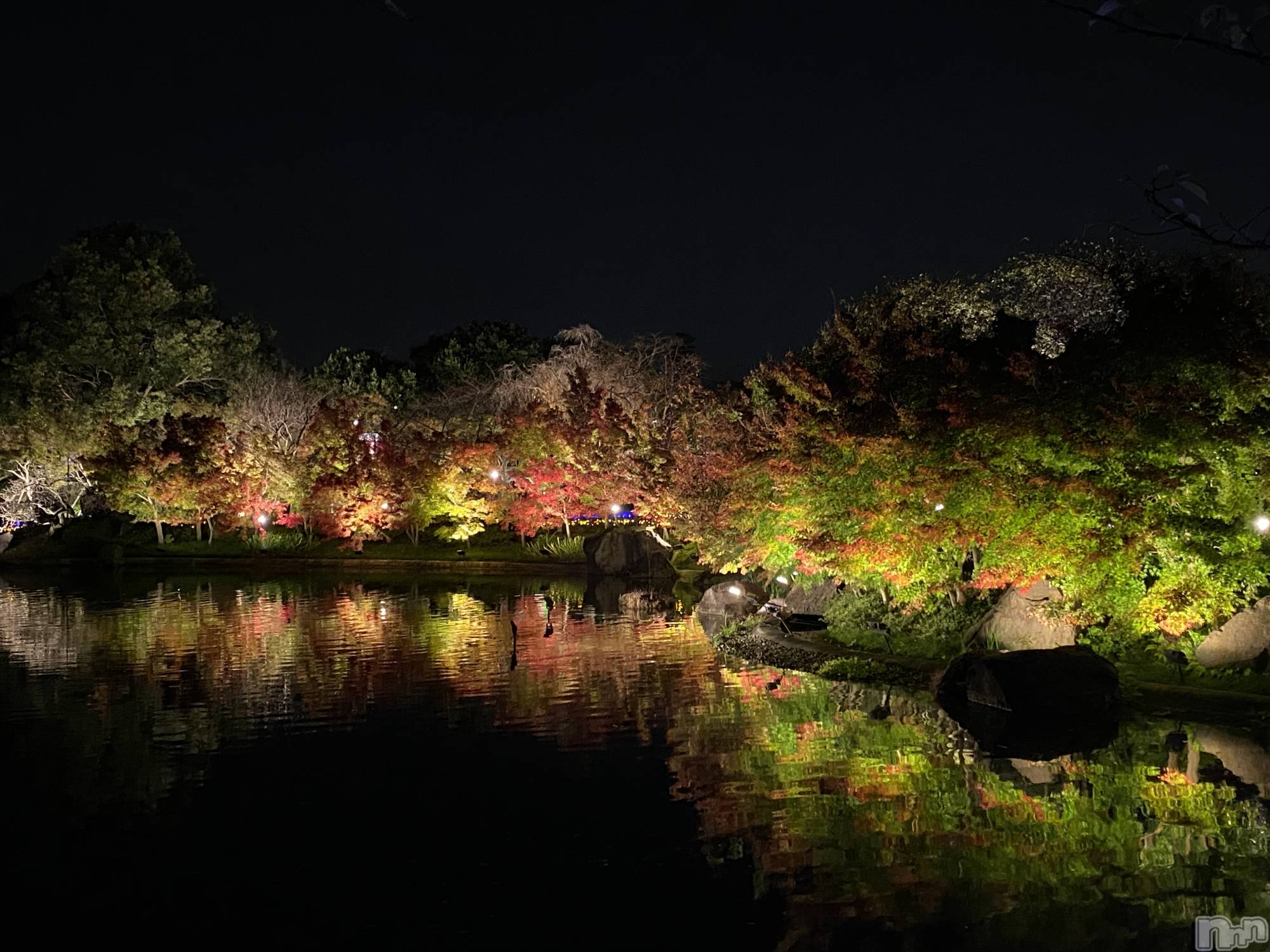 ��ˬ����Х��顦����֥���� �ץ���� ��ˬ(����� �ץ���� ����) ��2024ǯ11��25���̥�֥�����🍬��