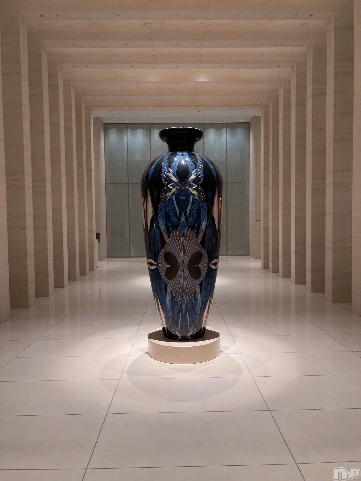 ��ˬ����Х��顦����֥���� �ץ���� ��ˬ(����� �ץ���� ����) ��2025ǯ1��16���̥�֥�����👱🏽‍��️��