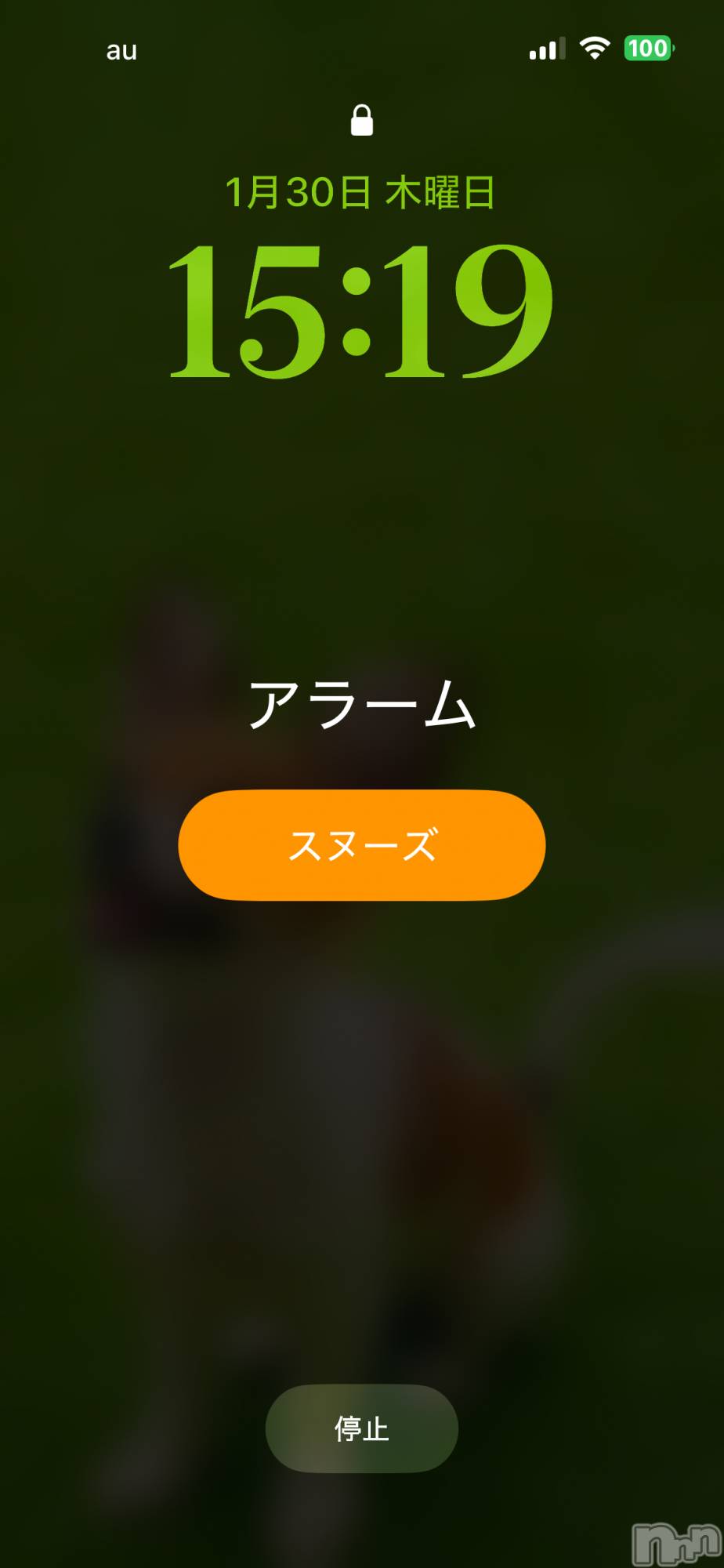 ��ˬ����Х��顦����֥���� �ץ���� ��ˬ(����� �ץ���� ����) ��2025ǯ1��30���̥�֥�����🐥��