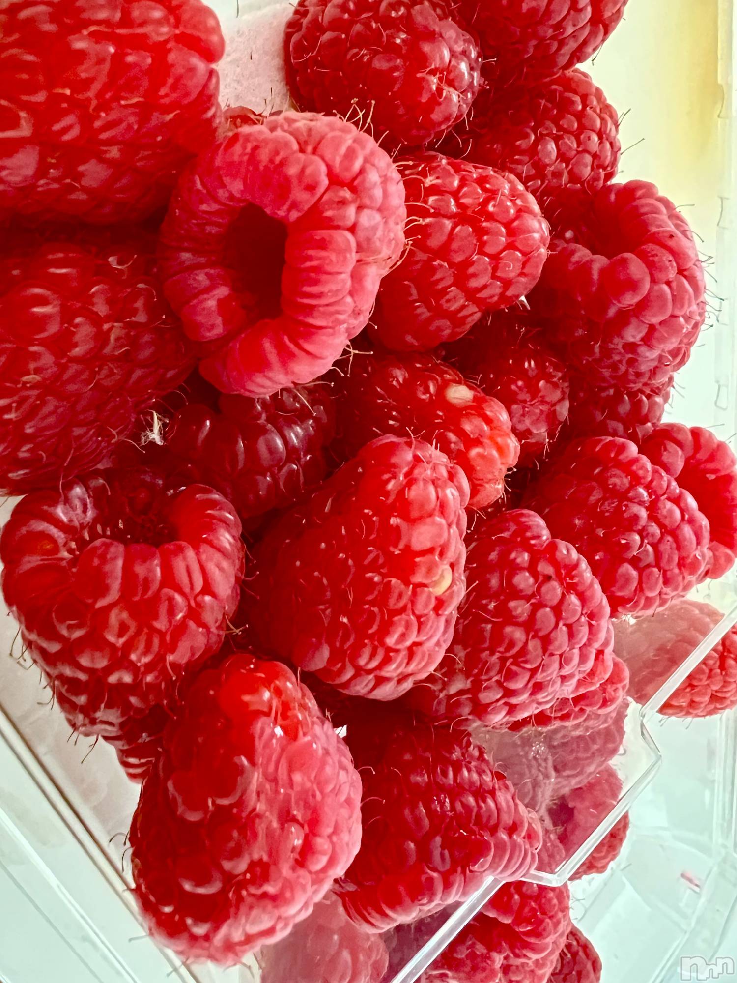 ��ˬ����Х��顦����֥���� �ץ���� ��ˬ(����� �ץ���� ����) ��2025ǯ2��8���̥�֥�����🐭��