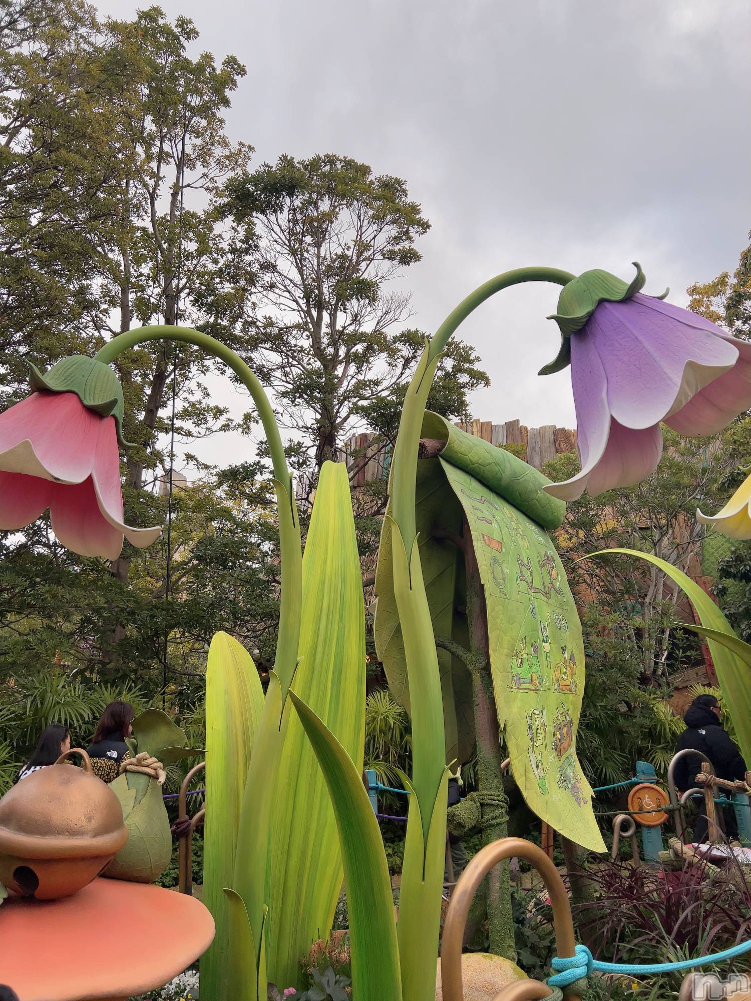 ��ˬ����Х��顦����֥���� �ץ���� ��ˬ(����� �ץ���� ����) ��2025ǯ2��14���̥�֥�����💙��