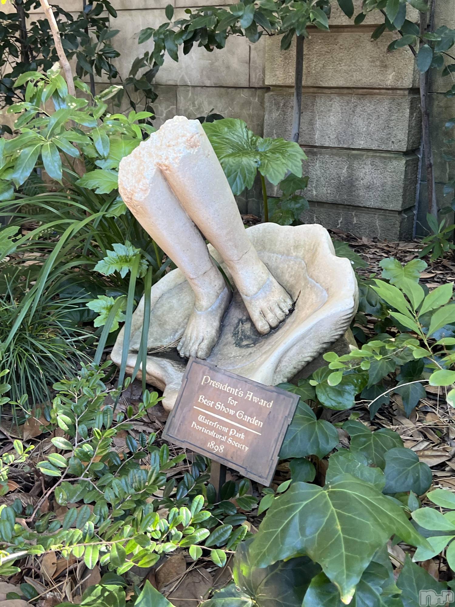 ��ˬ����Х��顦����֥���� �ץ���� ��ˬ(����� �ץ���� ����) ��2025ǯ2��15���̥�֥�����💛��