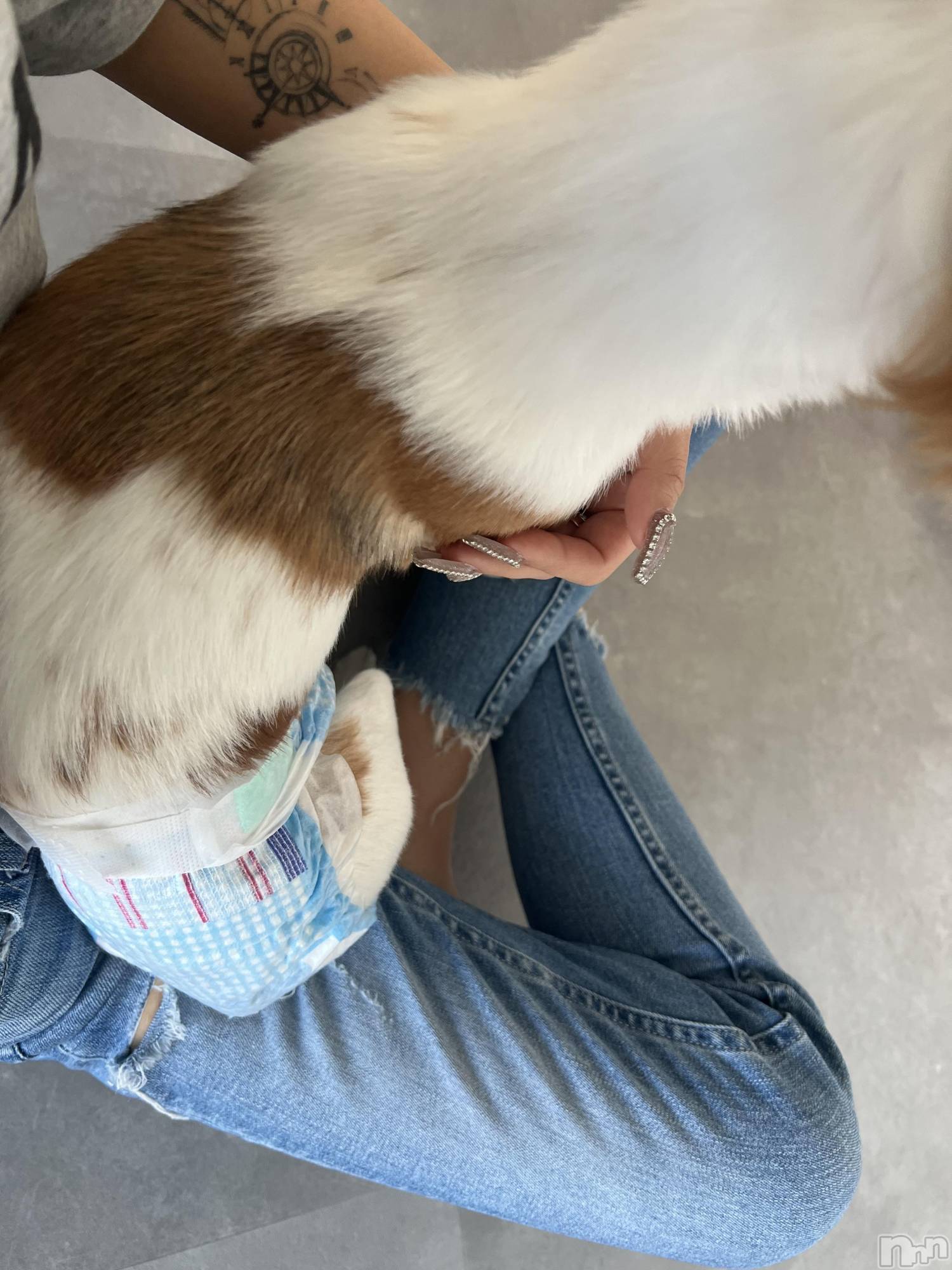 ��ˬ����Х��顦����֥���� �ץ���� ��ˬ(����� �ץ���� ����) ��2025ǯ5��14���̥�֥�����💎��