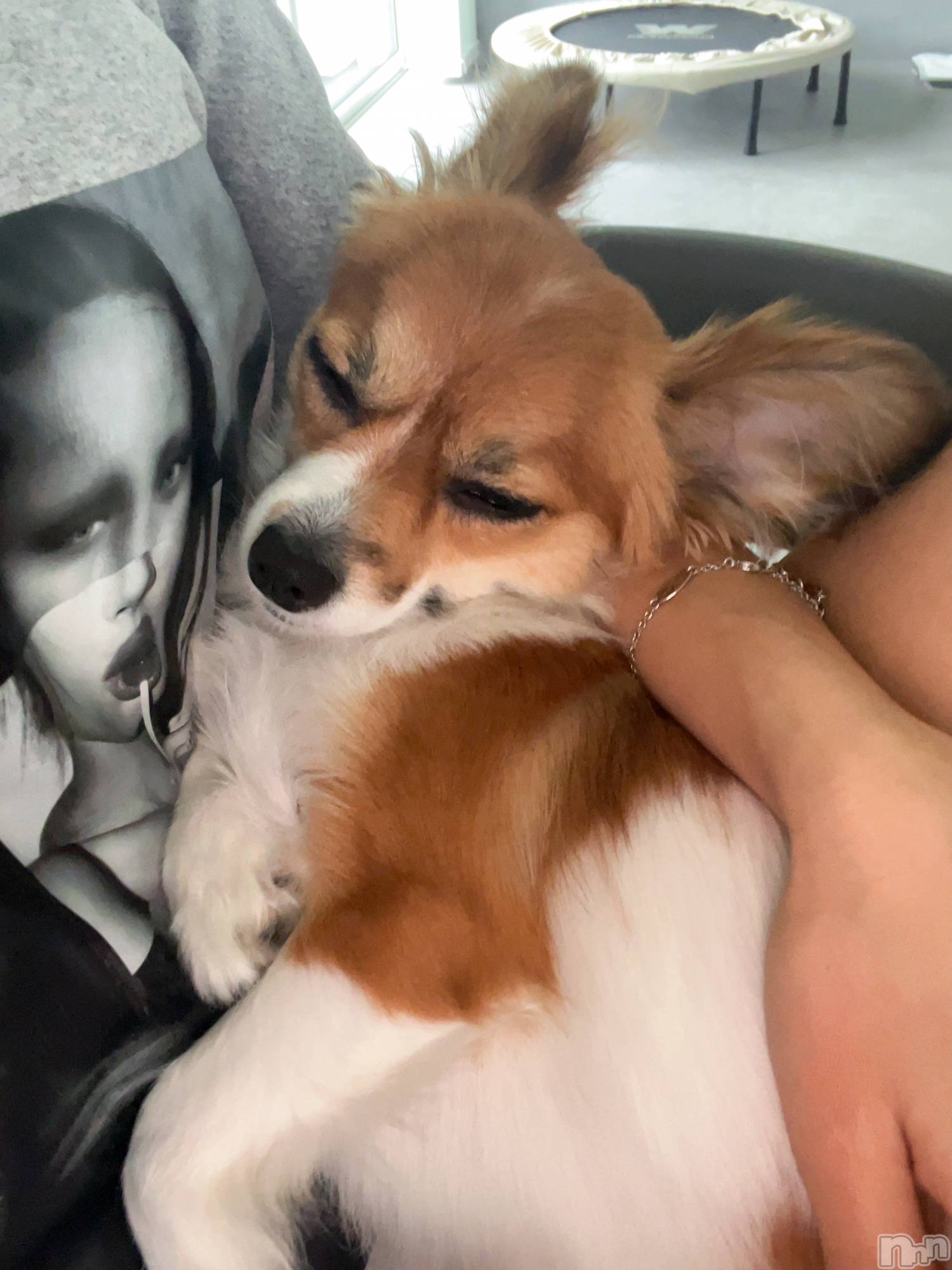 ��ˬ����Х��顦����֥���� �ץ���� ��ˬ(����� �ץ���� ����) ��2025ǯ6��14���̥�֥�����🦋��