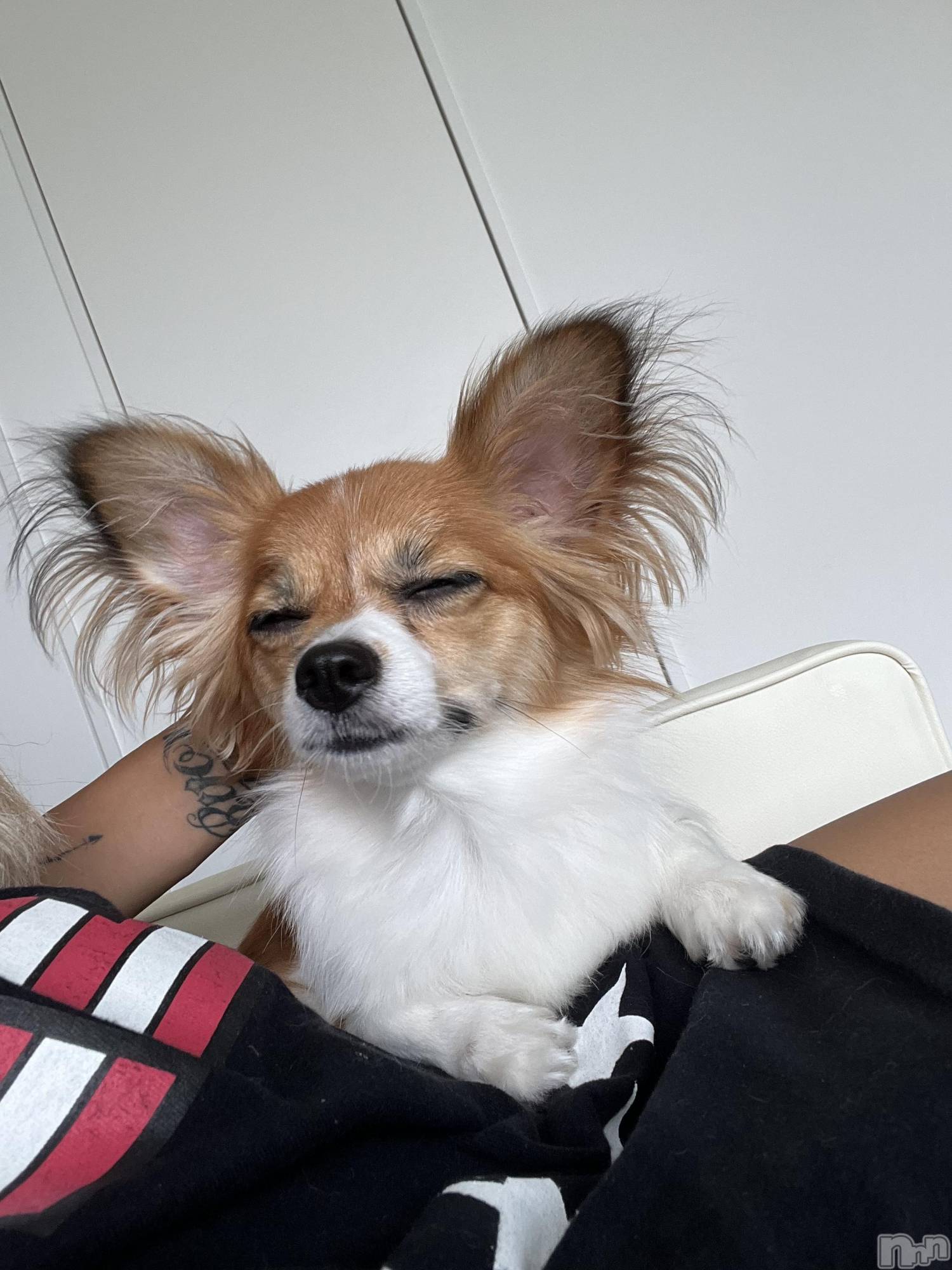 ��ˬ����Х��顦����֥���� �ץ���� ��ˬ(����� �ץ���� ����) ��2025ǯ8��21���̥�֥�����🧡��