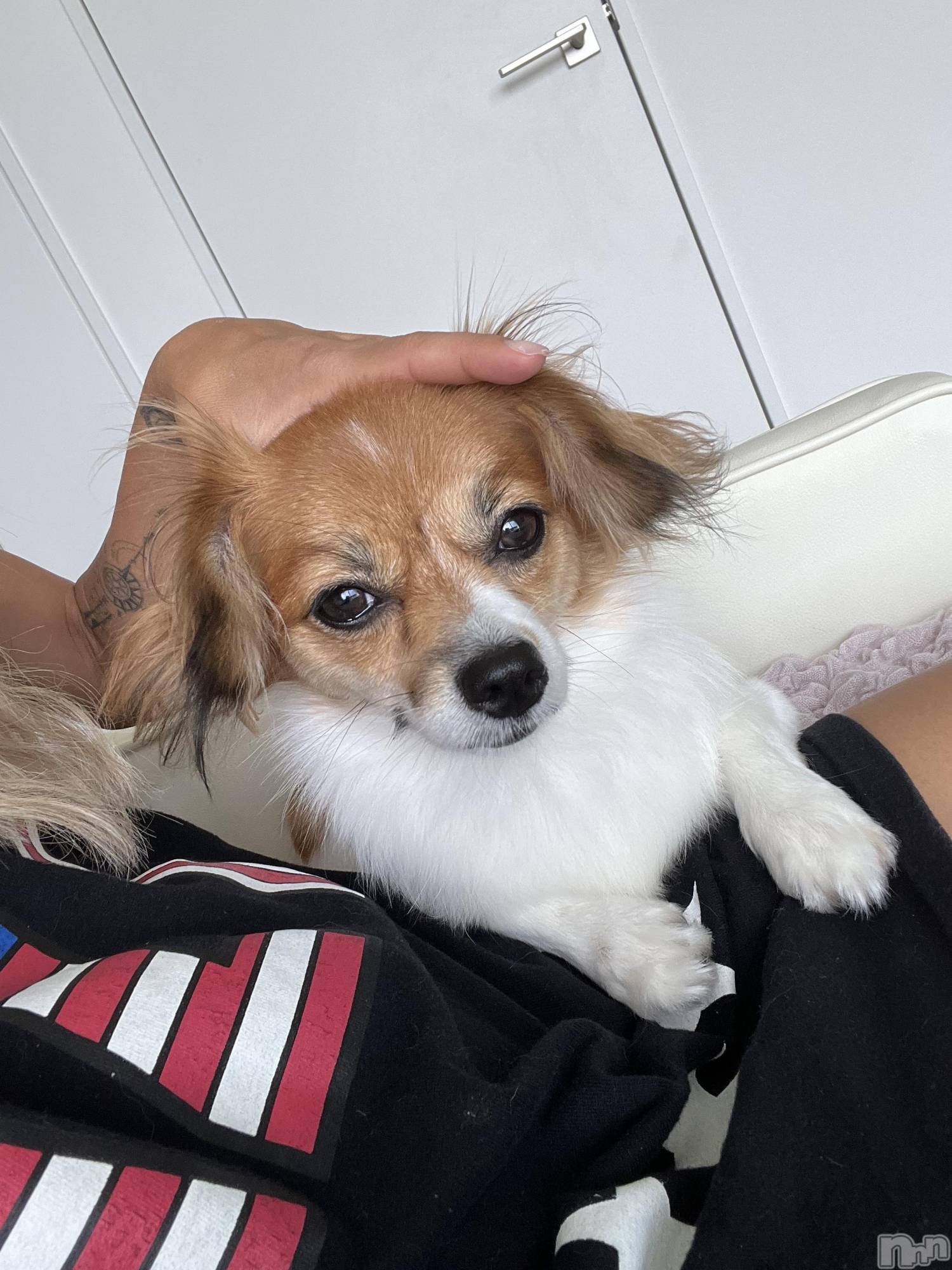 ��ˬ����Х��顦����֥���� �ץ���� ��ˬ(����� �ץ���� ����) ��2025ǯ8��21���̥�֥�����🧡��