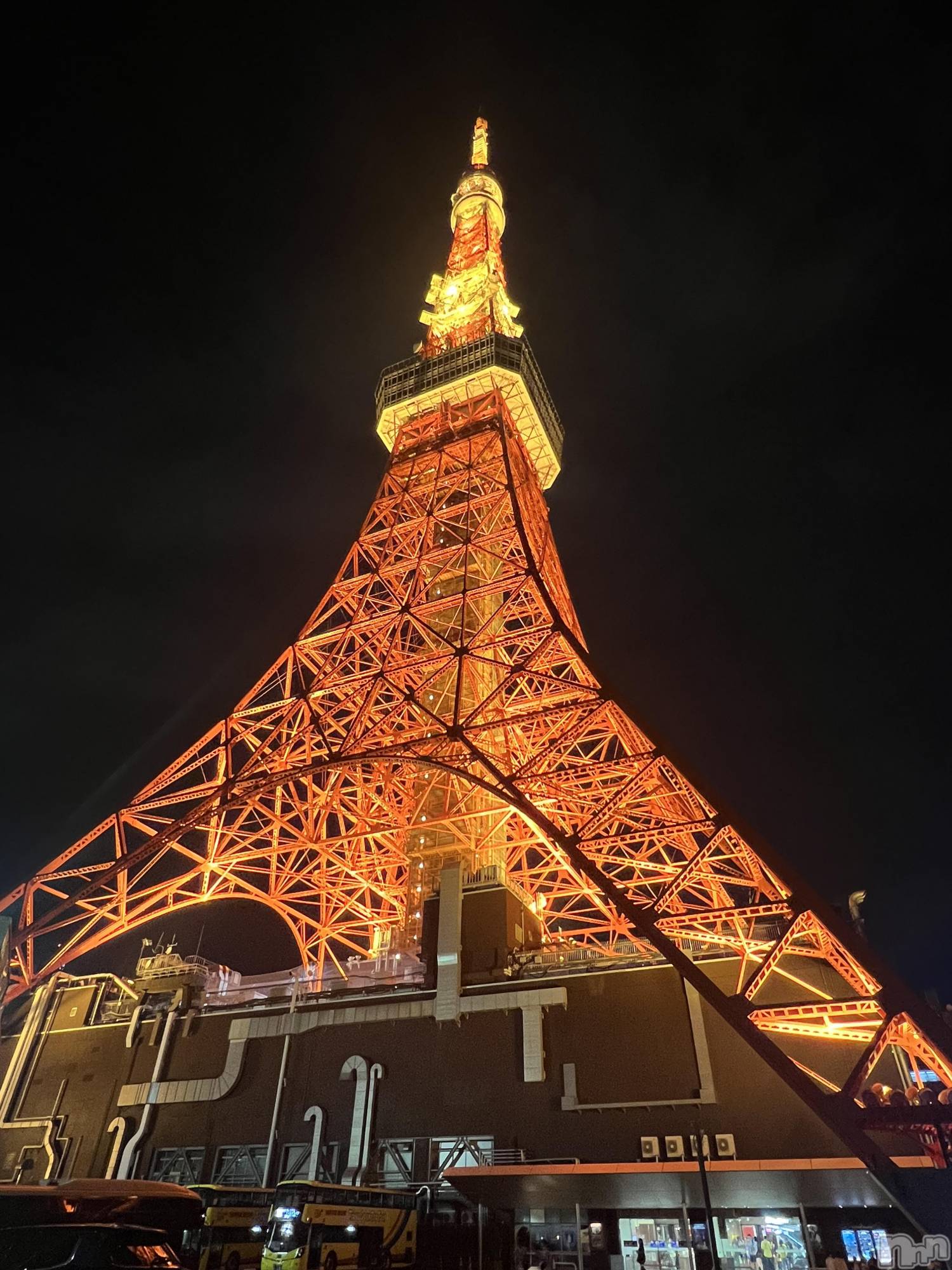 ��ˬ����Х��顦����֥���� �ץ���� ��ˬ(����� �ץ���� ����) ��2025ǯ10��7���̥�֥�����🎀��