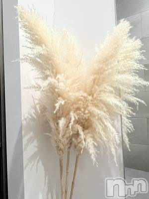 ��ˬ����Х��顦����֥���� �ץ���� ��ˬ(����� �ץ���� ����) �շ� �ꤪ��6��5���̥�֥�����🍬��