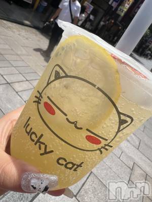 ��ˬ����Х��顦����֥���� �ץ���� ��ˬ(����� �ץ���� ����) �շ� �ꤪ��8��6���̥�֥�����🍬��