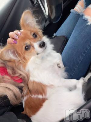 ��ˬ����Х��顦����֥���� �ץ���� ��ˬ(����� �ץ���� ����) �շ� �ꤪ��11��14���̥�֥�����🍬��