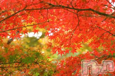 ��ˬ����Х��顦����֥���� �ץ���� ��ˬ(����� �ץ���� ����) �շ� �ꤪ��11��21���̥�֥�����🍬��