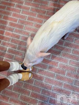 ��ˬ����Х��顦����֥���� �ץ���� ��ˬ(����� �ץ���� ����) �շ� �ꤪ��1��21���̥�֥�����👱🏽‍��️��