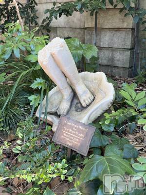 ��ˬ����Х��顦����֥���� �ץ���� ��ˬ(����� �ץ���� ����) �շ� �ꤪ��2��15���̥�֥�����💛��