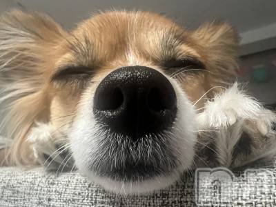 ��ˬ����Х��顦����֥���� �ץ���� ��ˬ(����� �ץ���� ����) �շ� �ꤪ��3��14���̥�֥�����❤️‍🔥��