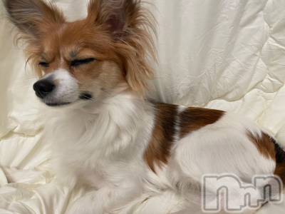 ��ˬ����Х��顦����֥���� �ץ���� ��ˬ(����� �ץ���� ����) �շ� �ꤪ��3��21���̥�֥�����⚡️��