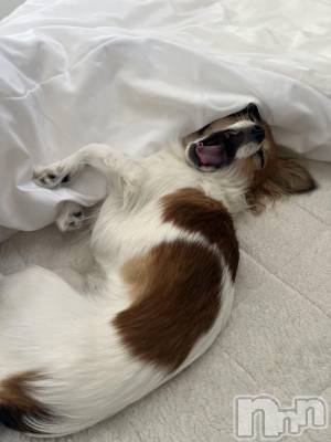 ��ˬ����Х��顦����֥���� �ץ���� ��ˬ(����� �ץ���� ����) �շ� �ꤪ��3��21���̥�֥�����💖��