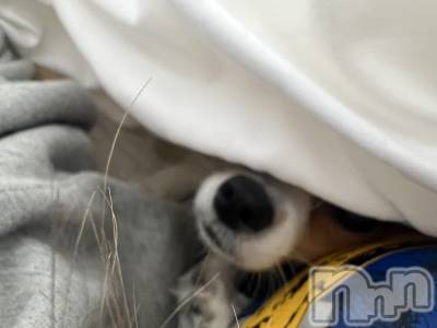 ��ˬ����Х��顦����֥���� �ץ���� ��ˬ(����� �ץ���� ����) �շ� �ꤪ��3��22���̥�֥�����🩵��