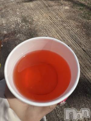 ��ˬ����Х��顦����֥���� �ץ���� ��ˬ(����� �ץ���� ����) �շ� �ꤪ��4��7���̥�֥�����🌸��