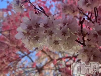 ��ˬ����Х��顦����֥���� �ץ���� ��ˬ(����� �ץ���� ����) �շ� �ꤪ��4��16���̥�֥�����💋��