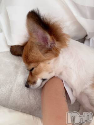 ��ˬ����Х��顦����֥���� �ץ���� ��ˬ(����� �ץ���� ����) �շ� �ꤪ��5��3���̥�֥�����💋��