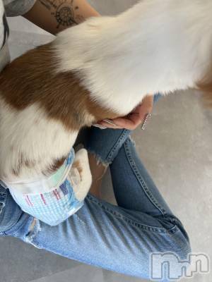 ��ˬ����Х��顦����֥���� �ץ���� ��ˬ(����� �ץ���� ����) �շ� �ꤪ��5��14���̥�֥�����💎��