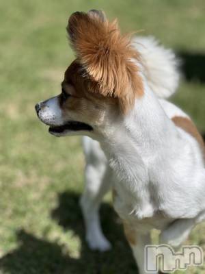 ��ˬ����Х��顦����֥���� �ץ���� ��ˬ(����� �ץ���� ����) �շ� �ꤪ��5��20���̥�֥�����💜��