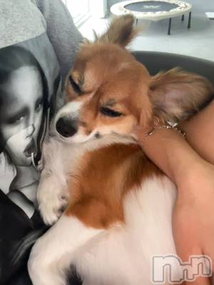 ��ˬ����Х��顦����֥���� �ץ���� ��ˬ(����� �ץ���� ����) �շ� �ꤪ��6��14���̥�֥�����🦋��