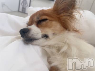 ��ˬ����Х��顦����֥���� �ץ���� ��ˬ(����� �ץ���� ����) �շ� �ꤪ��6��26���̥�֥�����💙��