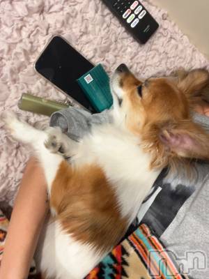 ��ˬ����Х��顦����֥���� �ץ���� ��ˬ(����� �ץ���� ����) �շ� �ꤪ��7��4���̥�֥�����👾��