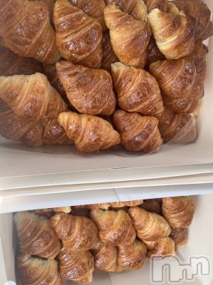 ��ˬ����Х��顦����֥���� �ץ���� ��ˬ(����� �ץ���� ����) �շ� �ꤪ��7��10���̥�֥�����🩵��