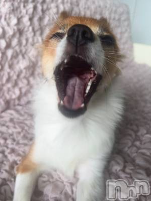 ��ˬ����Х��顦����֥���� �ץ���� ��ˬ(����� �ץ���� ����) �շ� �ꤪ��7��18���̥�֥�����💙��