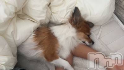 ��ˬ����Х��顦����֥���� �ץ���� ��ˬ(����� �ץ���� ����) �շ� �ꤪ��10��23���̥�֥�����🩷��