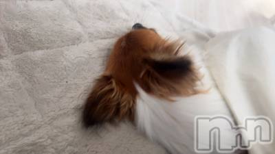 ��ˬ����Х��顦����֥���� �ץ���� ��ˬ(����� �ץ���� ����) �շ� �ꤪ��11��14���̥�֥�����♠️��