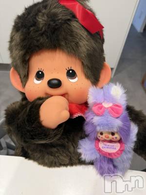 ��ˬ����Х��顦����֥���� �ץ���� ��ˬ(����� �ץ���� ����) �շ� �ꤪ��1��7���̥�֥�����🐴��