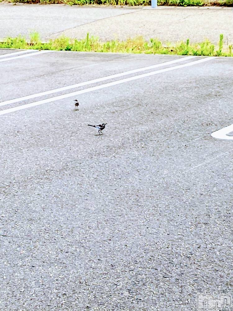 三条デリヘル人妻じゅんちゃん-出稼ぎ0！地元の奥様専門-(ヒトヅマジュンチャン) 皐月すずは☆天然癒し奥様(41)の7月29日写メブログ「元気になりました！」