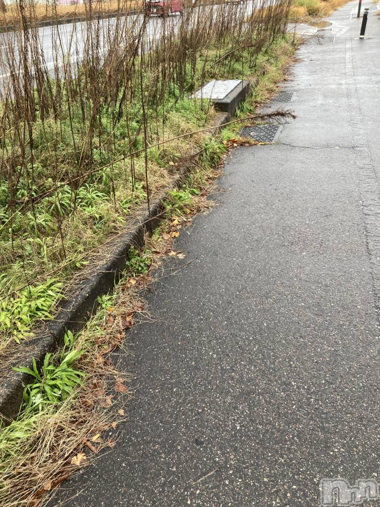 三条デリヘル人妻じゅんちゃん-出稼ぎ0！地元の奥様専門-(ヒトヅマジュンチャン) 皐月すずは☆天然癒し奥様(41)の12月13日写メブログ「生理😢」