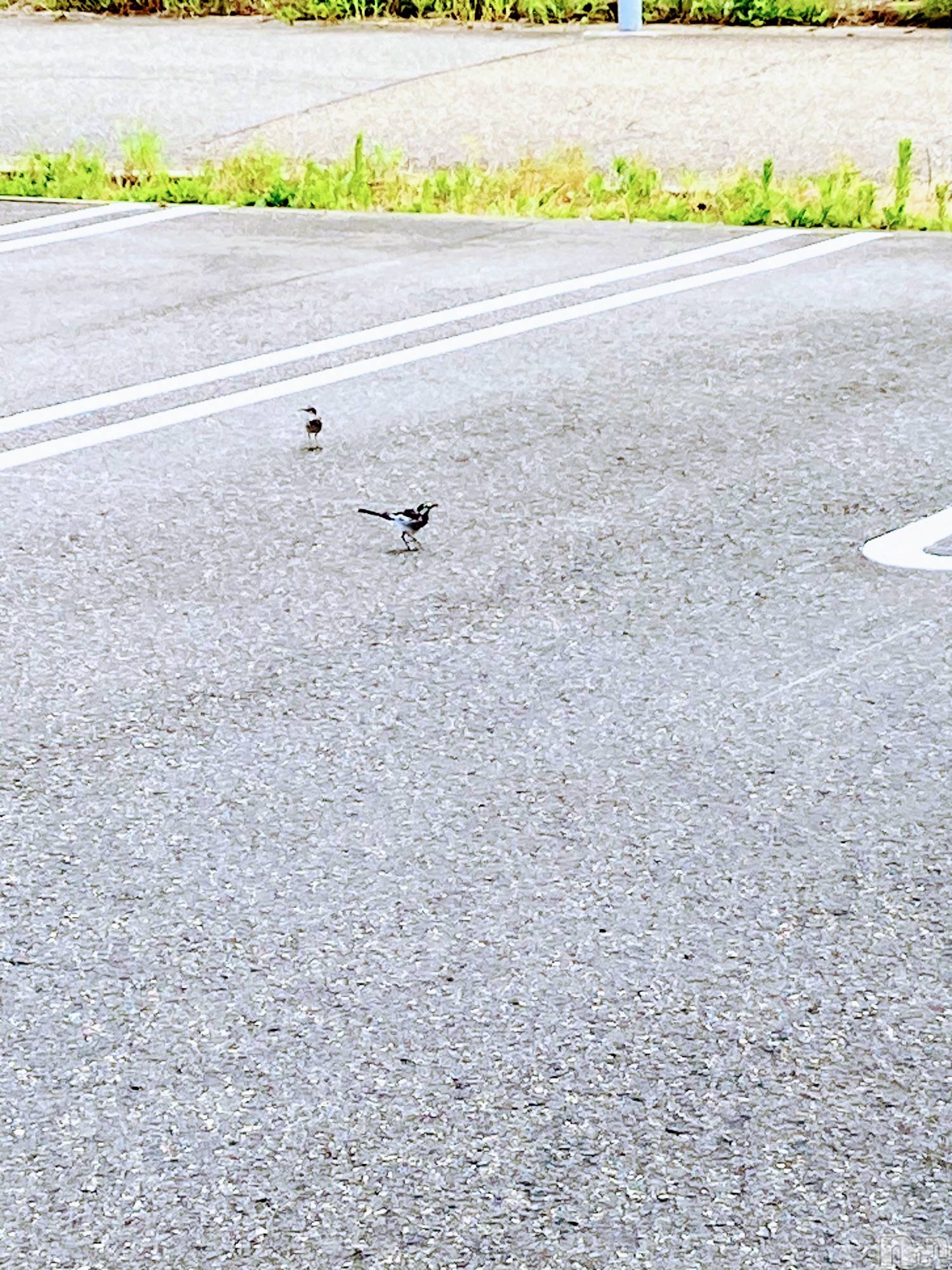 三条デリヘル人妻じゅんちゃん-出稼ぎ0！地元の奥様専門-(ヒトヅマジュンチャン)皐月すずは☆天然癒し奥様(41)の2024年7月29日写メブログ「元気になりました！」