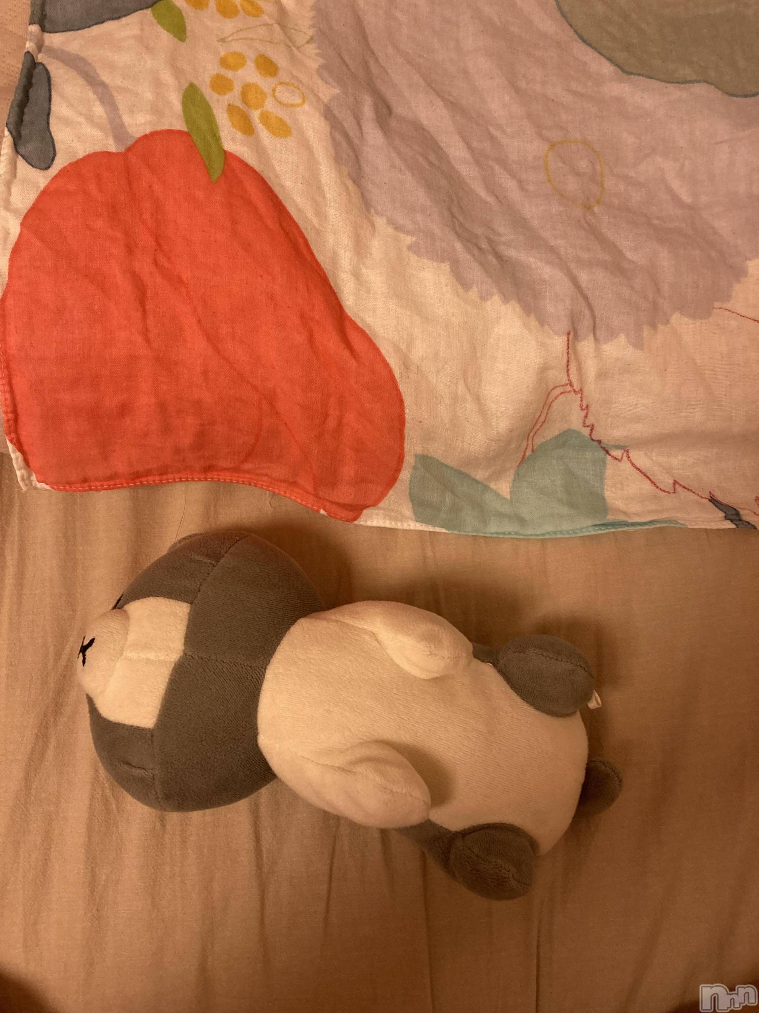 三条デリヘル人妻じゅんちゃん-出稼ぎ0！地元の奥様専門-(ヒトヅマジュンチャン)皐月すずは☆天然癒し奥様(41)の2024年8月16日写メブログ「皆様へ」