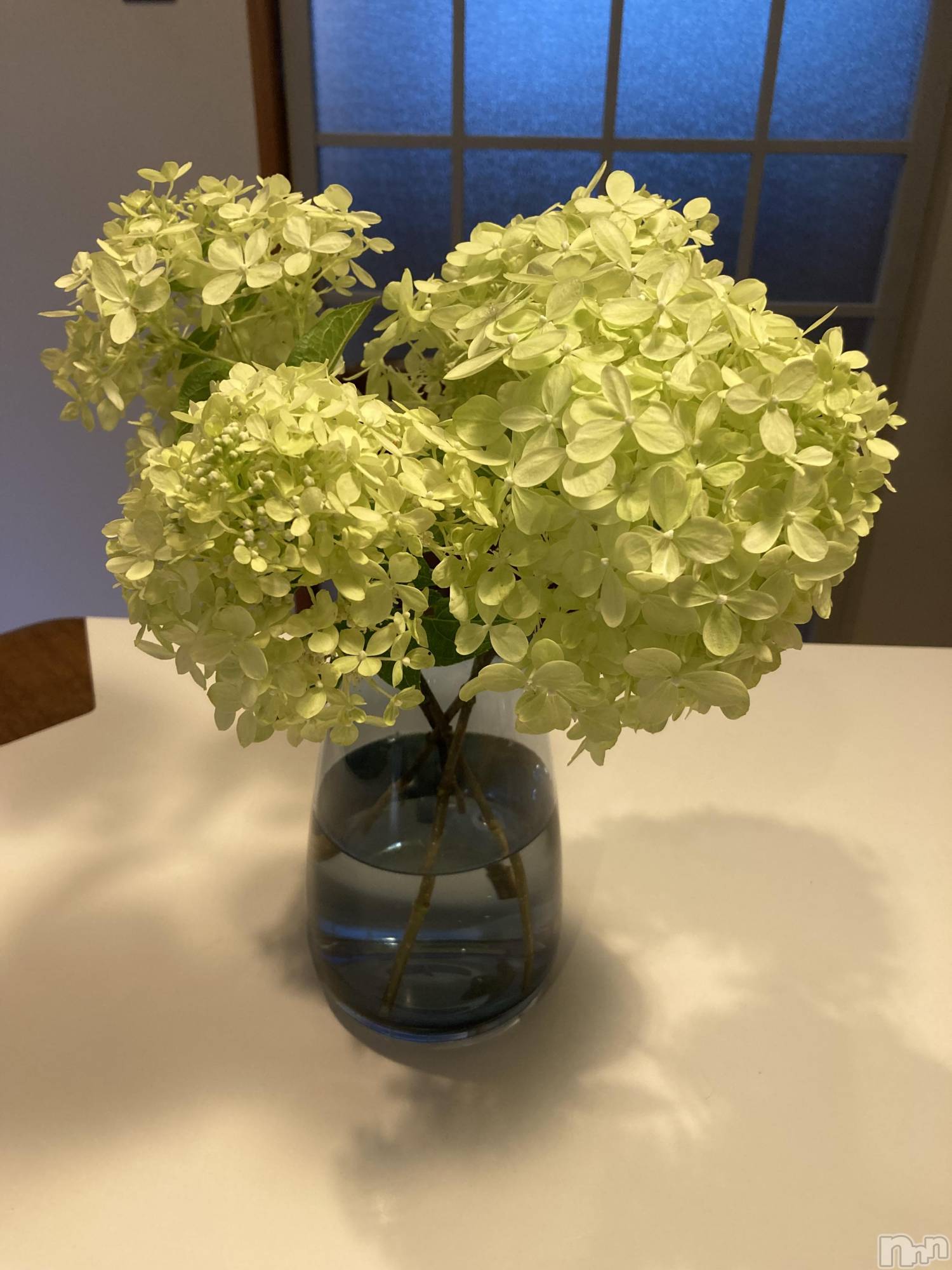 三条デリヘル人妻じゅんちゃん-出稼ぎ0！地元の奥様専門-(ヒトヅマジュンチャン)皐月すずは☆天然癒し奥様(41)の2024年9月3日写メブログ「昨日は」