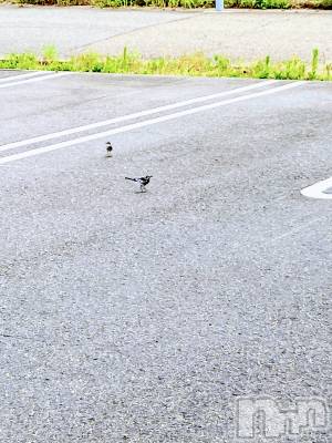 三条デリヘル 人妻じゅんちゃん-出稼ぎ0！地元の奥様専門-(ヒトヅマジュンチャン) 皐月すずは☆天然癒し奥様(41)の7月29日写メブログ「元気になりました！」