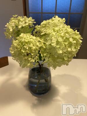 三条デリヘル 人妻じゅんちゃん-出稼ぎ0！地元の奥様専門-(ヒトヅマジュンチャン) 皐月すずは☆天然癒し奥様(41)の9月3日写メブログ「昨日は」