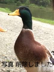 新潟デリヘルGRACE　新潟(グレース　ニイガタ) 里見(30)の8月6日写メブログ「嫉妬する…」