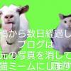 新潟風俗エステ GRACE　新潟(グレース　ニイガタ) 里見(30)の8月2日写メブログ「付きまとい 被害」